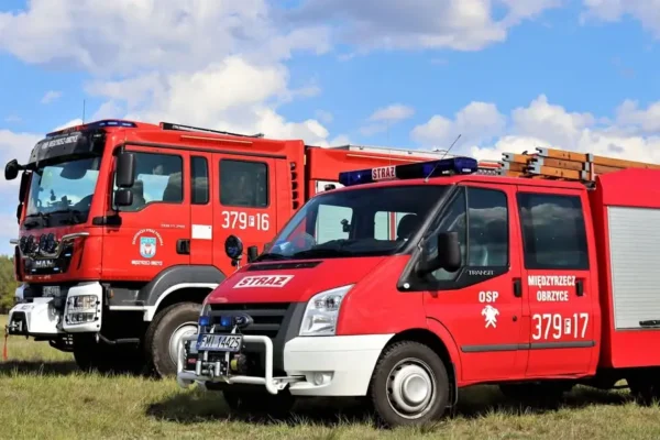 Usuwanie gniazda szerszeni w Międzyrzeczu – interwencja strażaków