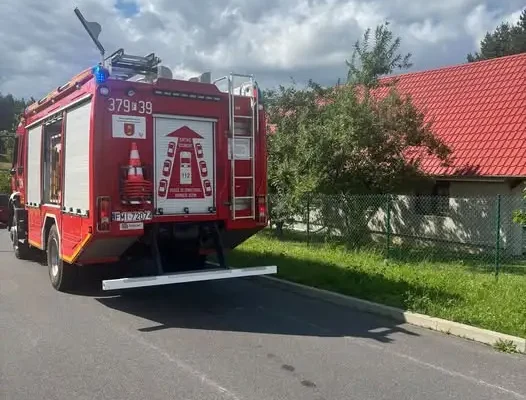 Drzewo zagroziło budynkowi w Pszczewie. Interweniowali strażacy