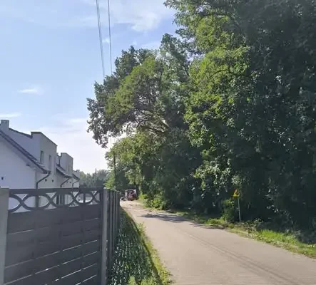 Nadleśnictwo Skwierzyna usuwa wiatrołomy, by zwiększyć bezpieczeństwo mieszkańców