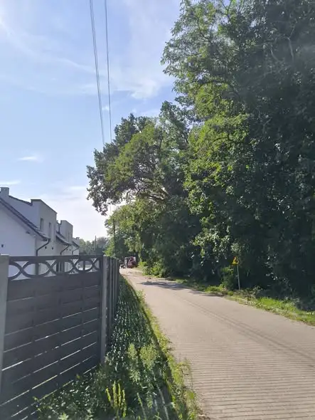 Nadleśnictwo Skwierzyna usuwa wiatrołomy, by zwiększyć bezpieczeństwo mieszkańców