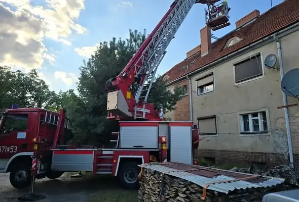 OSP Trzciel interweniuje w sprawie uwięzionego gołębia na dachu