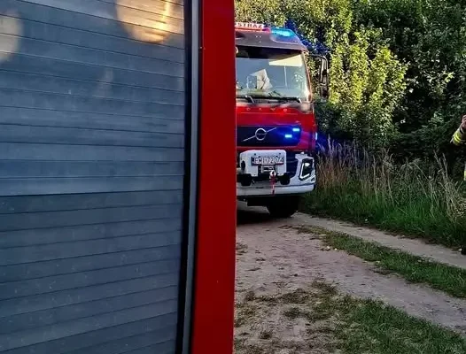 Interwencja OSP w Stołuniu: usuwanie gniazda owadów błonkoskrzydłych