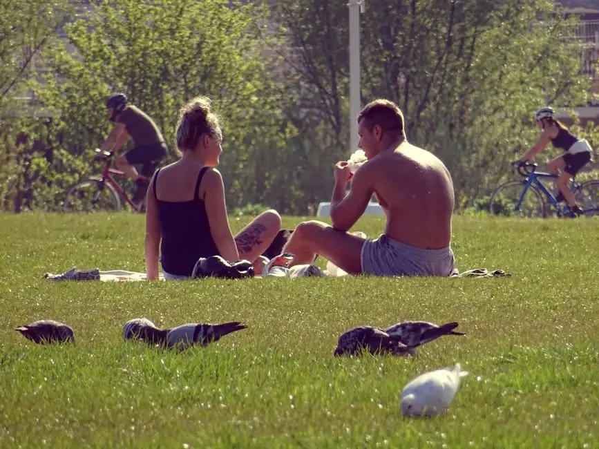 Piknik Mistrzów Kibicowania w Skwierzynie – podsumowanie Tour de Pologne 2026