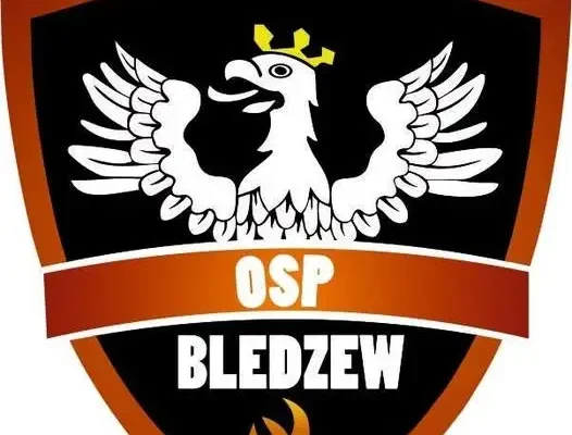 Interwencja OSP Bledzew: usuwanie gniazda szerszeni w Goruńsku