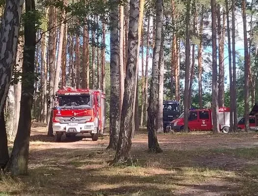 Trwają poszukiwania zaginionej osoby w Gorzycy – dzień 6