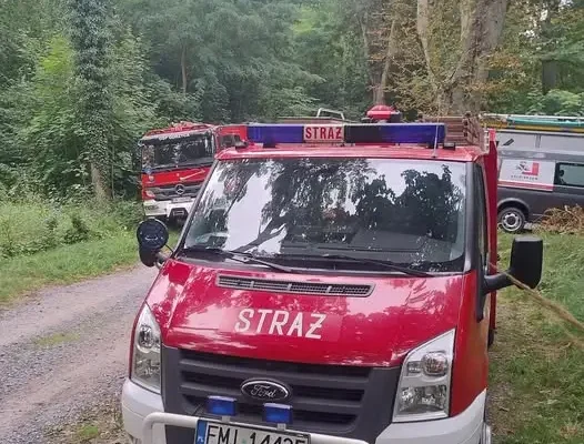 Trwają poszukiwania zaginionej osoby w Chycinie – siódmy dzień akcji