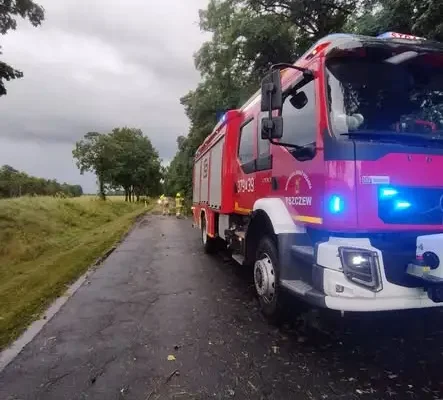 Powalone drzewo na drodze Pszczew – Zielomyśl. Interweniowali strażacy