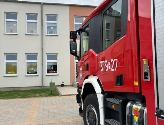 Interwencja OSP Przytoczna: usunięto gniazdo szerszeni w szkole