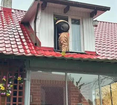 Gniazdo szerszeni w domu jednorodzinnym w Nowej Niedrzwicy — interwencja strażaków