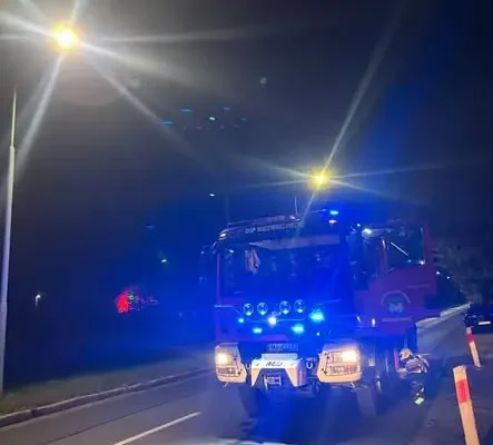 Pożar sadzy w kominie przy ul. Poznańskiej w Międzyrzeczu