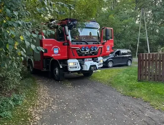 Interwencja OSP Międzyrzecz-Obrzyce: usuwanie gniazda os w Rańsku