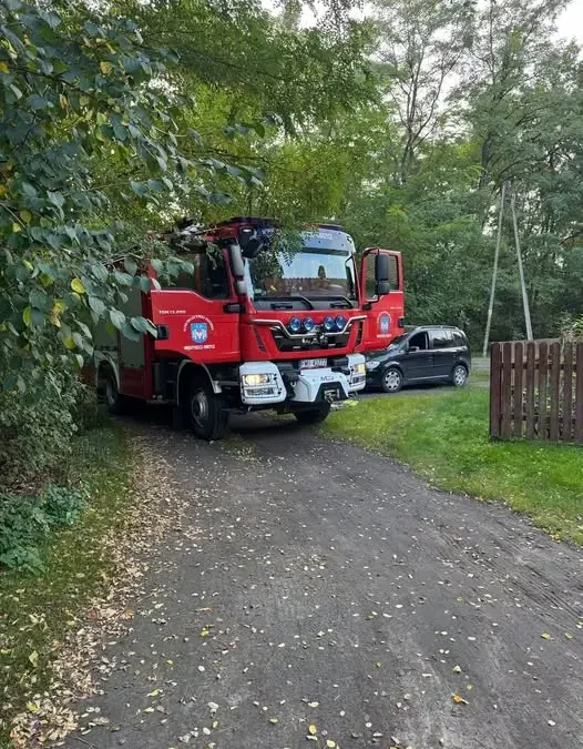 Interwencja OSP Międzyrzecz-Obrzyce: usuwanie gniazda os w Rańsku