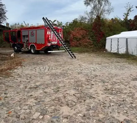 Interwencja OSP Pszczew: usuwanie gniazda owadów błonkoskrzydłych na ul. Dworcowej