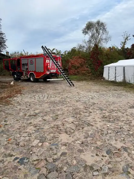 Interwencja OSP Pszczew: usuwanie gniazda owadów błonkoskrzydłych na ul. Dworcowej